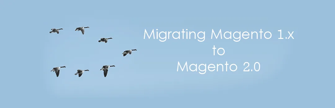 Magento 1.x to Magento 2.x Migration