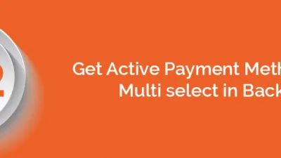 Get Active Payment Methods with Multi select in Backend