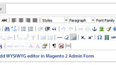 How to Add WYSIWYG Editor in Magento 2 Admin Form