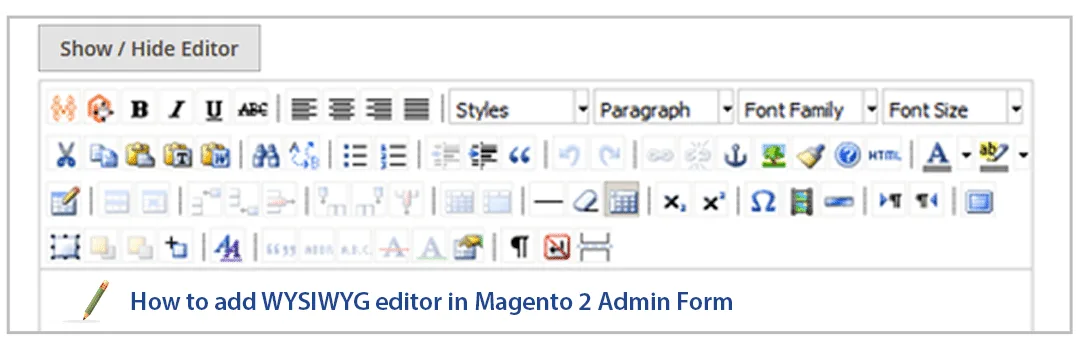 How to Add WYSIWYG Editor in Magento 2 Admin Form