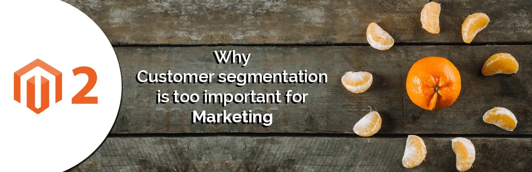 Why Customer segmentation is too important for Marketing