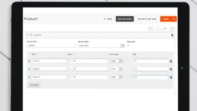 How to add Custom Options to the product Programmatically in Magento 2