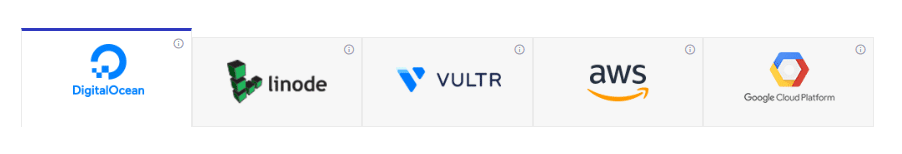 You can choose from DigitalOcean, Vultr, Linode, Google Cloud, and AWS