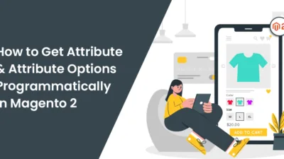 How to Get Attribute & Attribute Options Programmatically in Magento 2