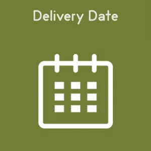 Delivery-Date