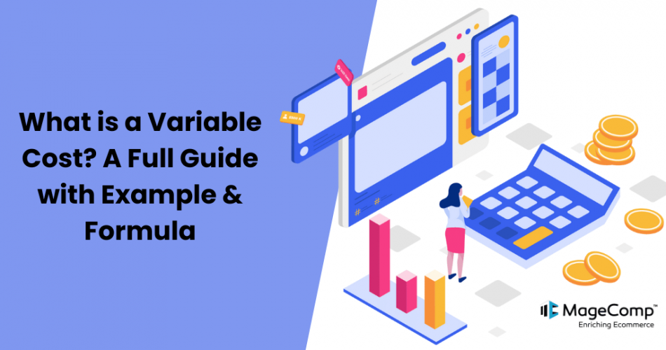 What is a Variable Cost? A Full Guide with Example & Formula