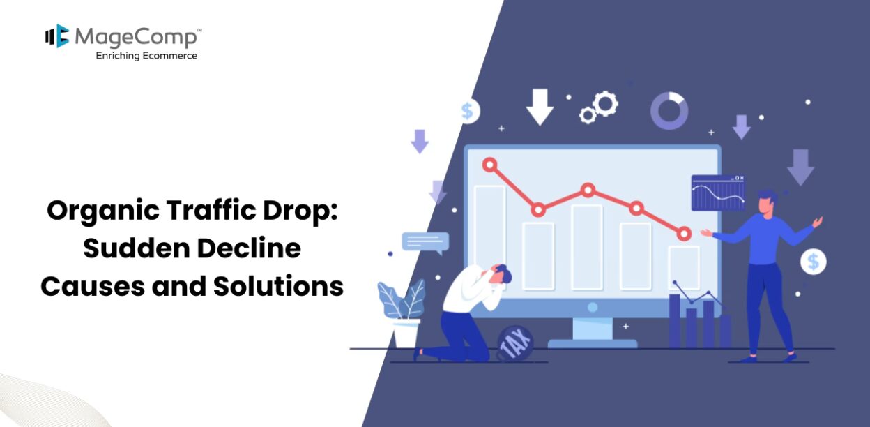 Organic Traffic Drop Sudden Decline Causes and Solutions