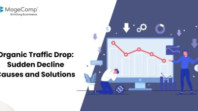 Organic Traffic Drop Sudden Decline Causes and Solutions