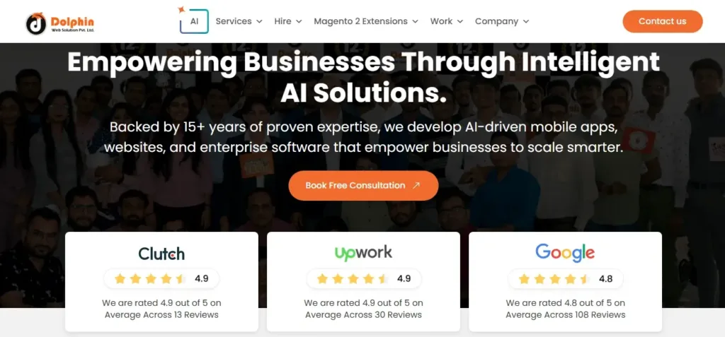 10. Dolphin Web Solution