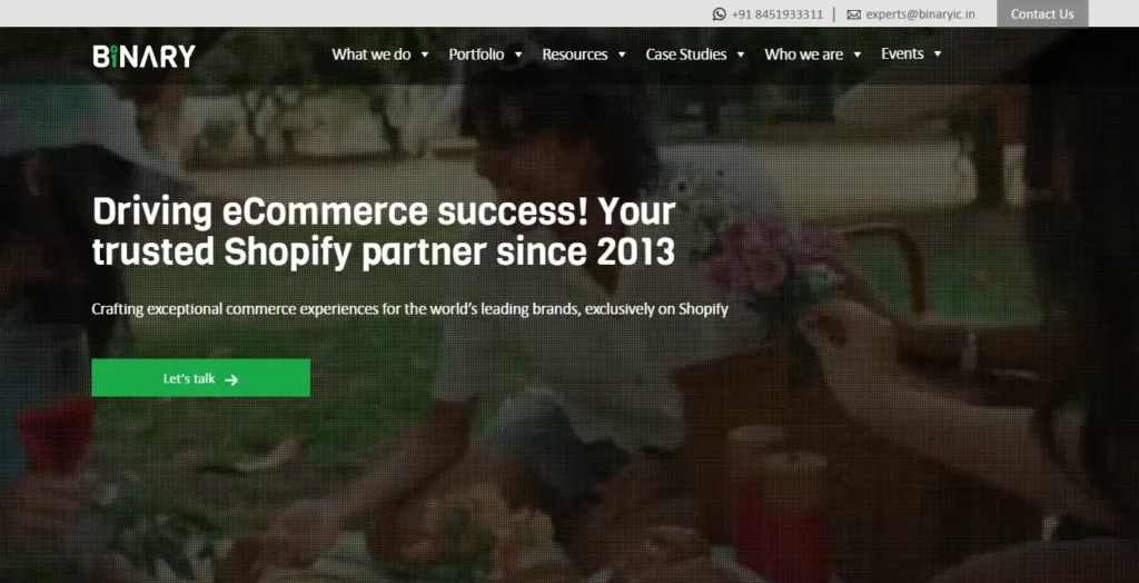 5. Binary Web Solutions