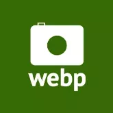 Magento 2 WebP Images Support Extension