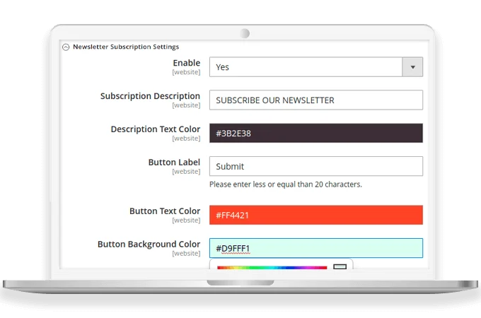 Customizable Newsletter Subscription Box