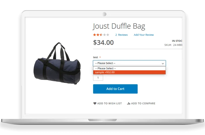 Display Desired Option Type on the Frontend