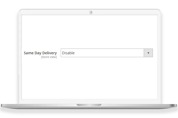 Option of Same-day Delivery