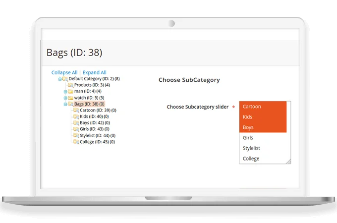 Display Selected Subcategories Under Parent Category