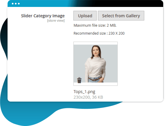 Upload Custom Images for Subcategories