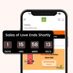 Countdown Timer