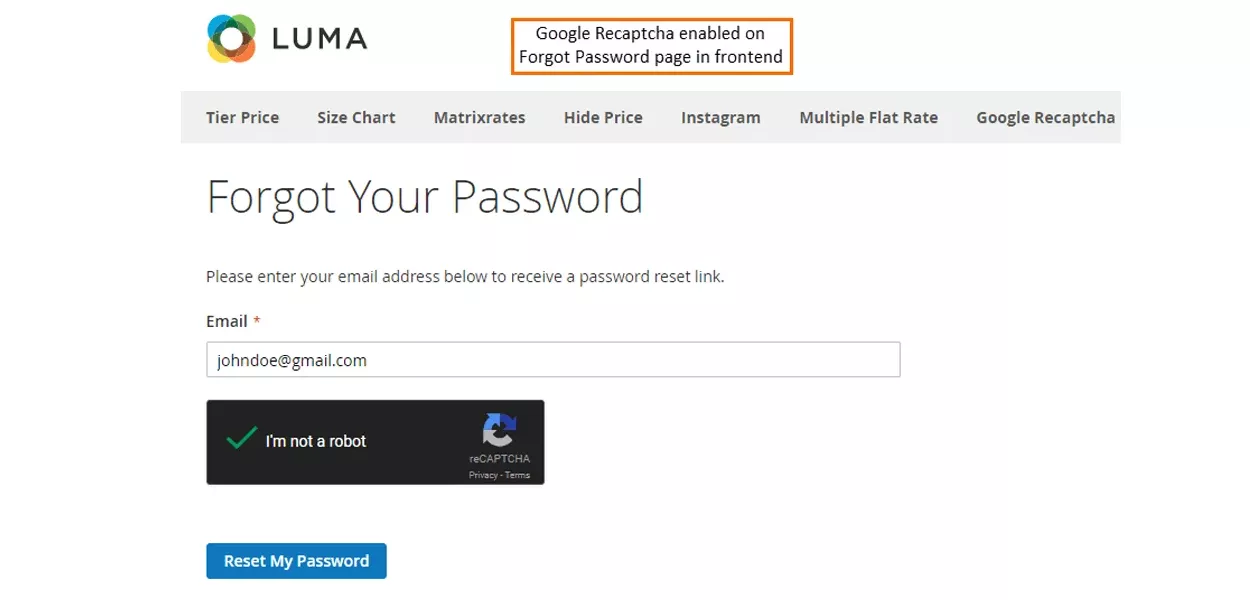 google recaptcha on fogot password page