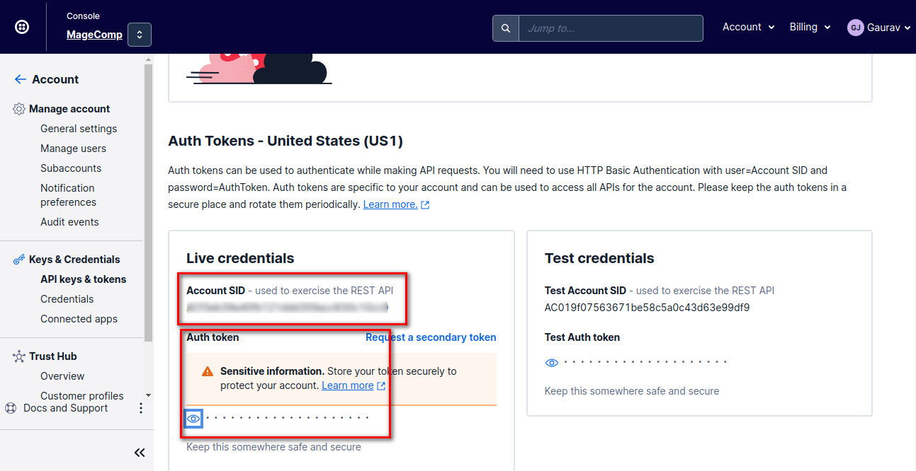 Account SID and Auth Token