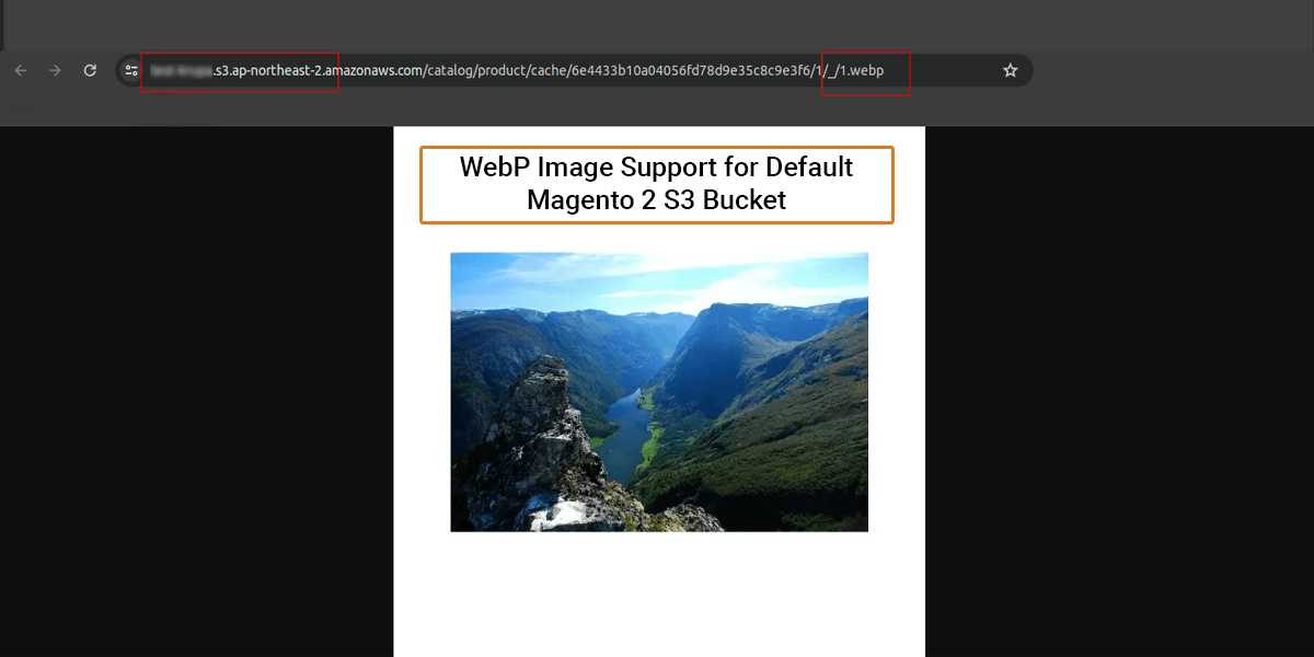 WebP Image Support for Default Magento S Bucket